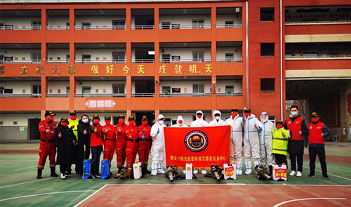 义务消杀守护校园——阳光救援在行动